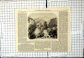 Old Print Subiaco Papal States Near Frontier Naples Waterfall Bligny 1860 19th