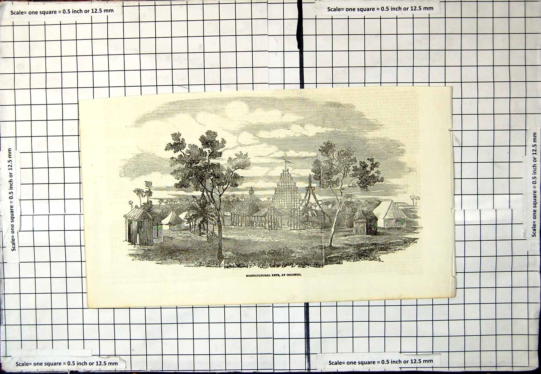 Antique Old Print Horticultural Fete Colombo Tents Marquees Trees Building
