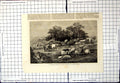 Antique Old Print Arrival Fair Scene Auvergne M Auguste Bonheur Sheep Cattle