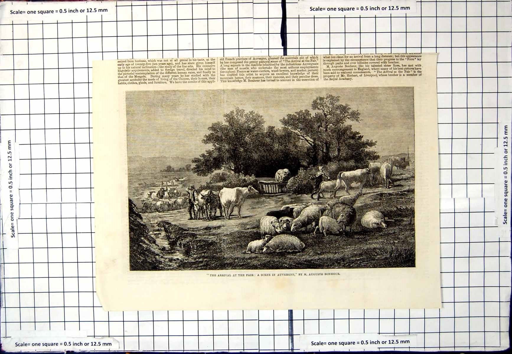 Antique Old Print Arrival Fair Scene Auvergne M Auguste Bonheur Sheep Cattle