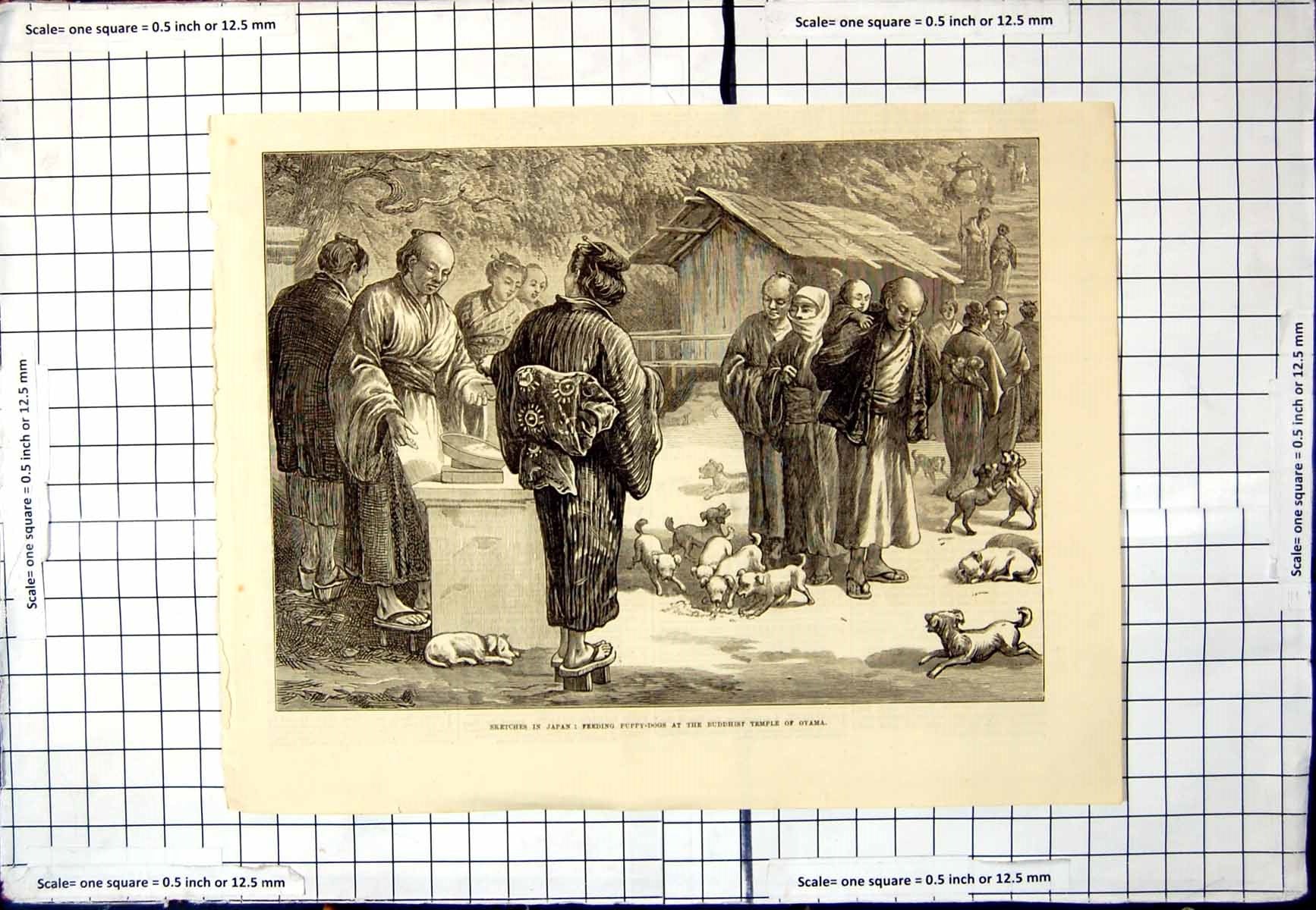 Old Antique Print Sketches Japan Feeding Puppy Dogs Buddhist Temple Oyama