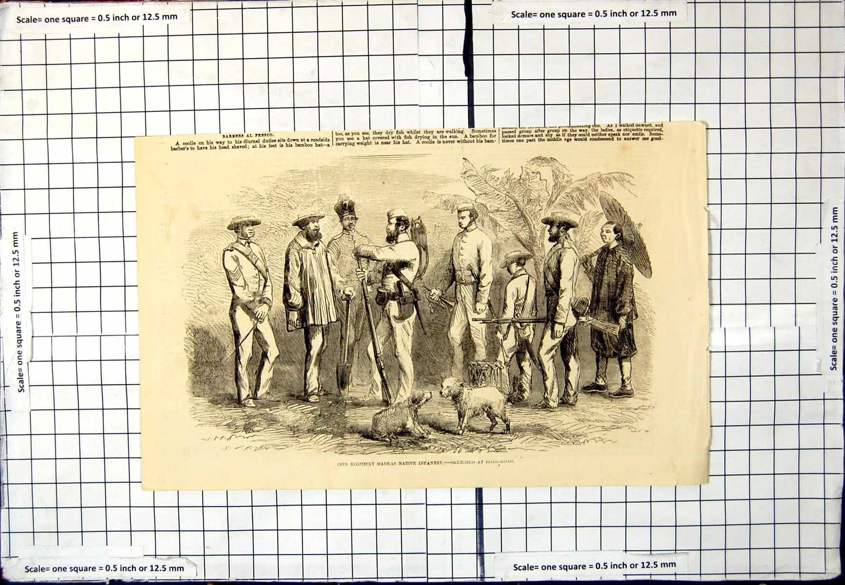 Antique Old Print 59Th Regiment Native Madras Infantry Hong Kong Sketch Dogs