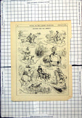 Old Print Holidays For The Horses? Punch Sketches Hired Hunter Pony 1875 19th