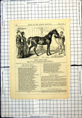 Antique Old Print Punch Cartoon Horse Admired Married Couple Good Temper 1875