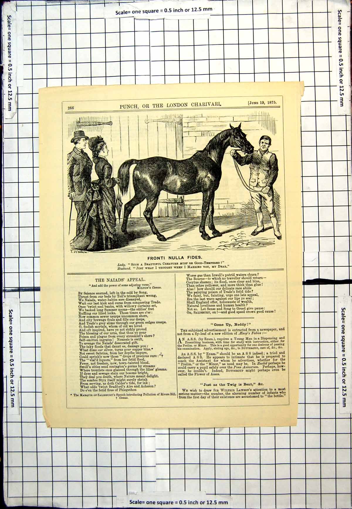 Antique Old Print Punch Cartoon Horse Admired Married Couple Good Temper 1875