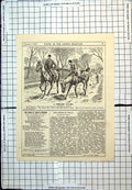 Antique Print Punch Cartoon Female Horse Stops Admires Herself Puddles 1896