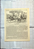Antique Print Punch Cartoon Hireling Bolted Road Epsom Comments Other 1897 19th