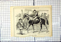 Old Antique Print Punch Cartoon The Jock Up Again Jockey Horse Race 1880 19th
