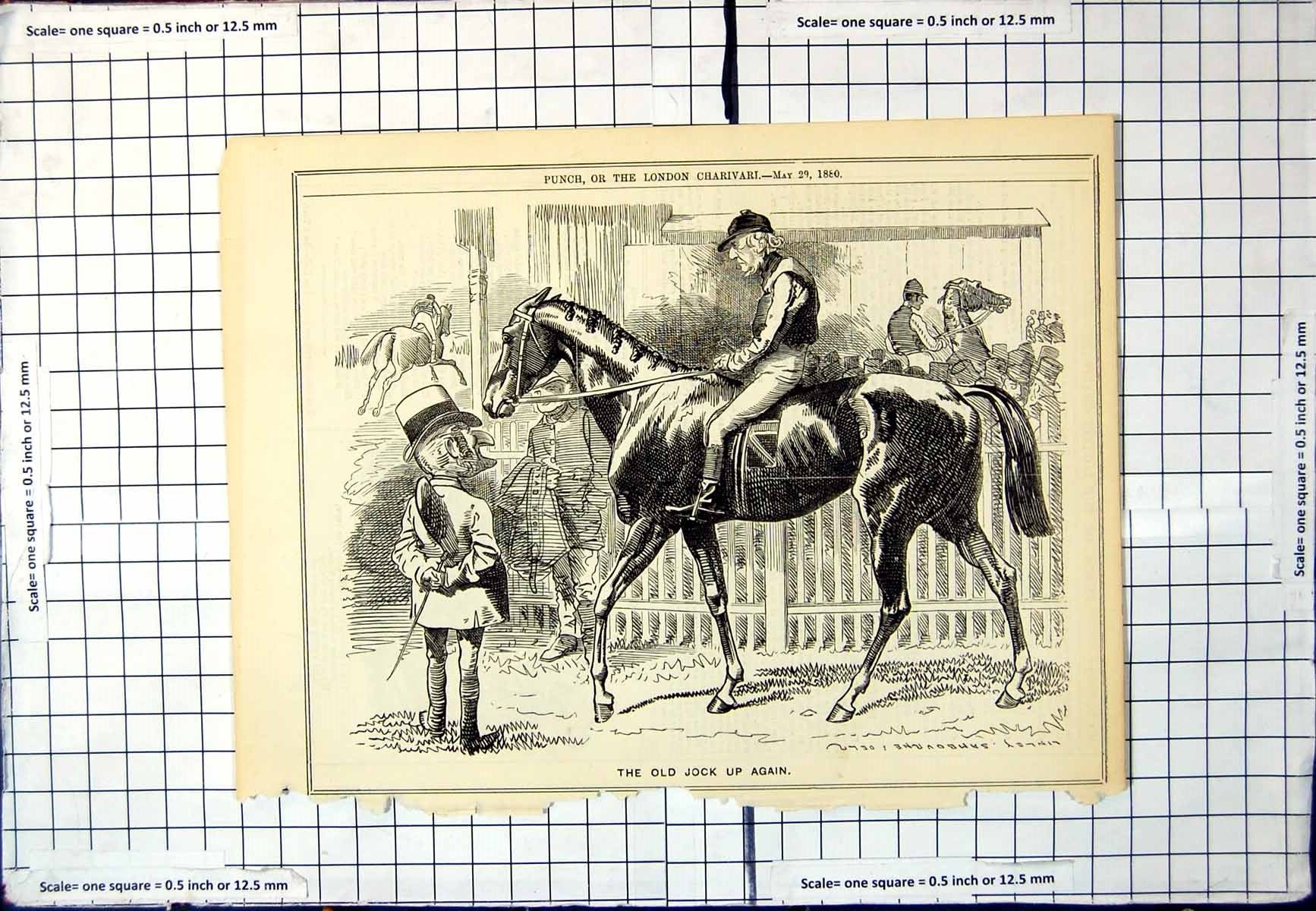 Old Antique Print Punch Cartoon The Jock Up Again Jockey Horse Race 1880 19th