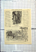 Antique Old Print Punch Cartoons Nincompoop Squire Painting Fresh Horses 1881