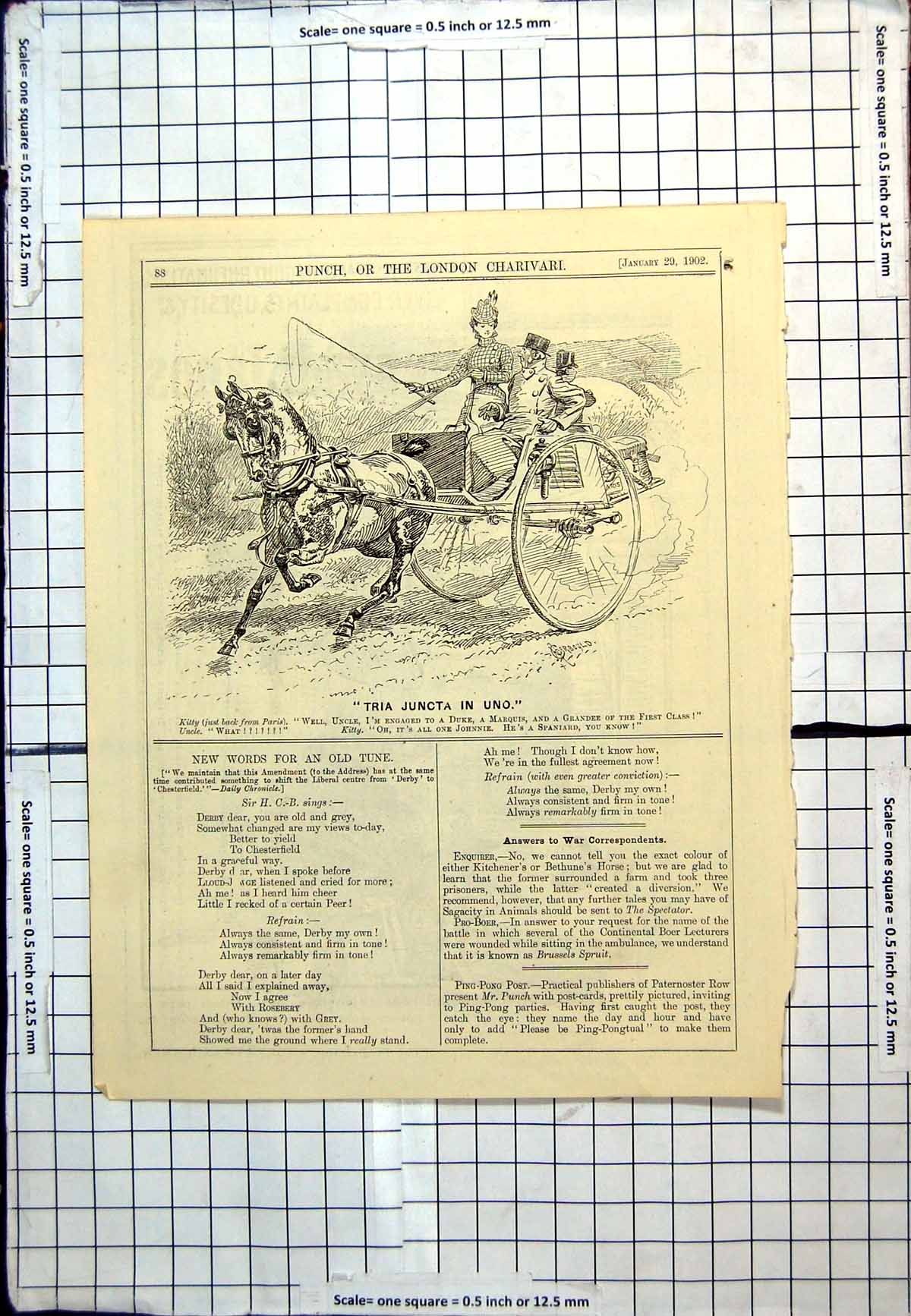 Old Antique Print Punch Cartoon Kitty Tells Uncle Engagement In Trap 1902 20th