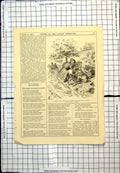 Old Antique Print Punch Cartoon Ought Motor Cars Be Licensed Number 1901 20th