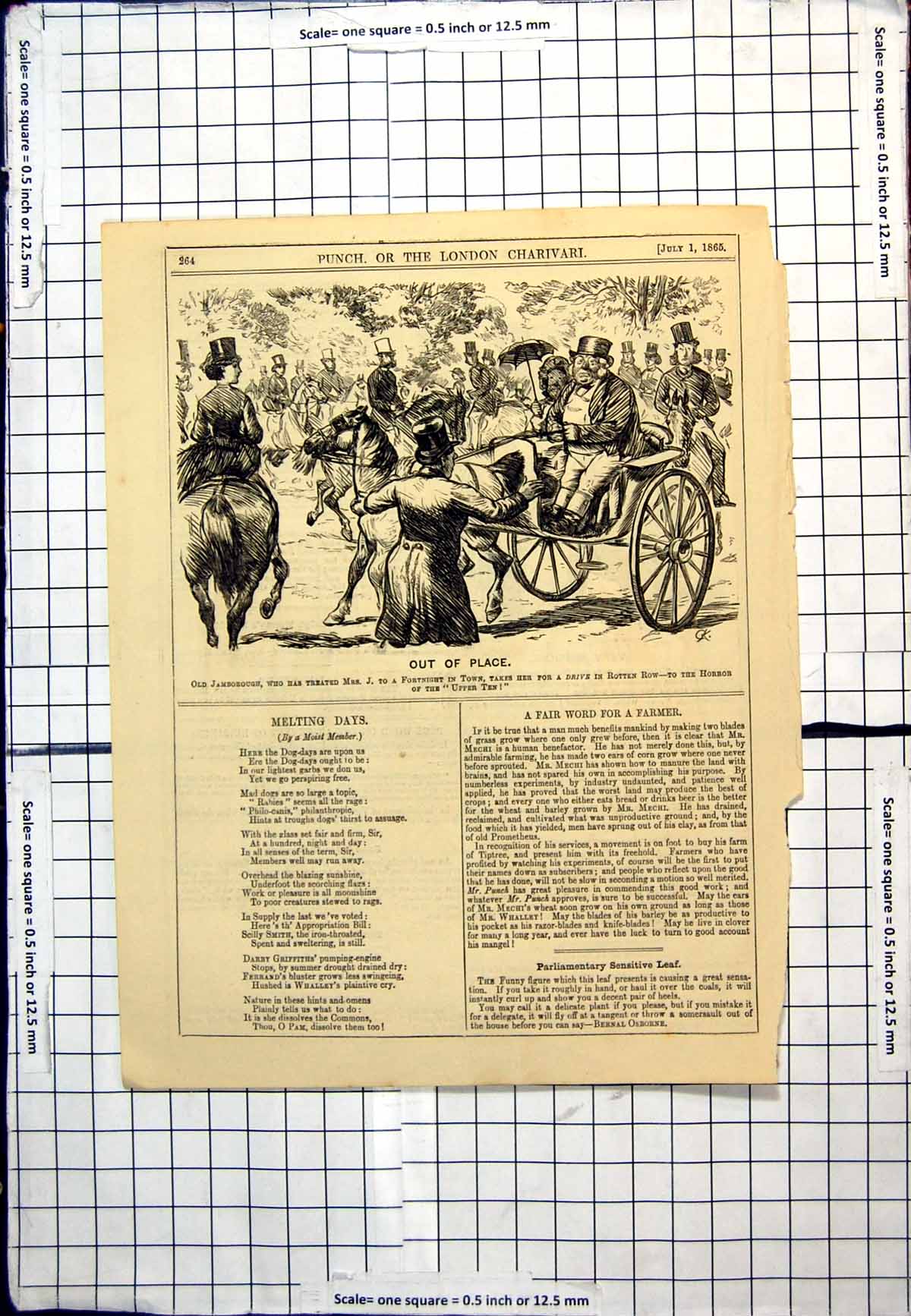 Old Print Punch Cartoon Out Place Taken For Drive Rotten Row Horses 1865 19th