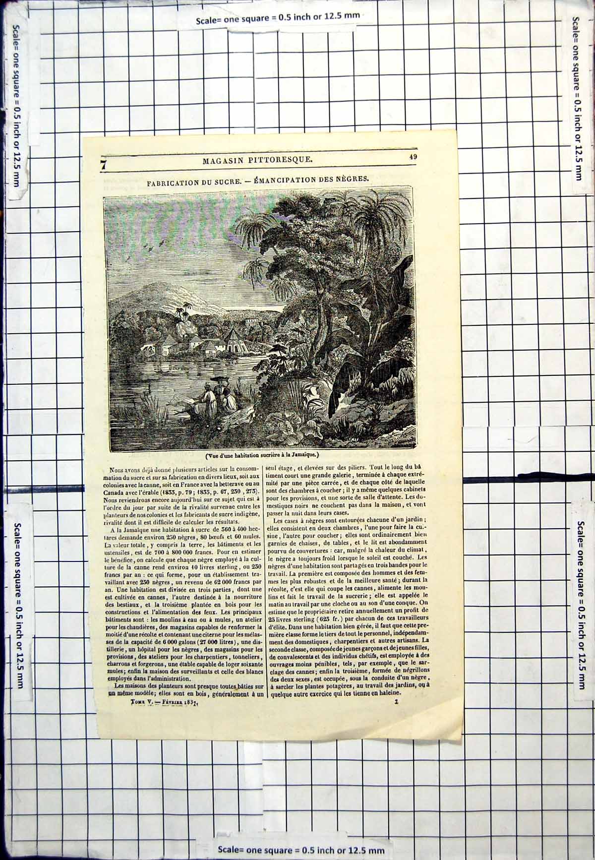 Antique Old Print View A Sugar Habitation In Jamaica Buildings Foliage People