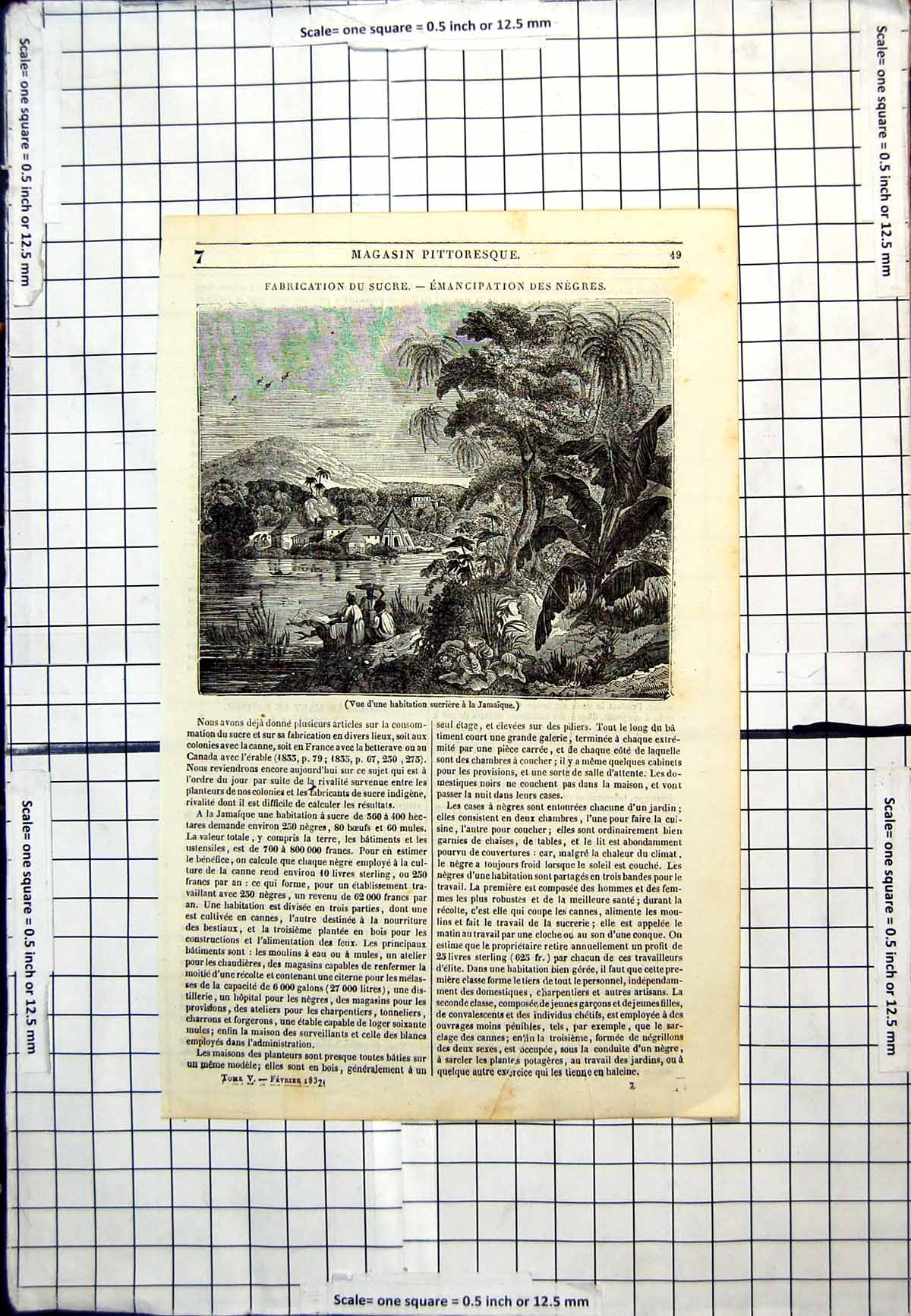 Antique Old Print View Sugar Habitation In Jamaica Buildings Foliage People