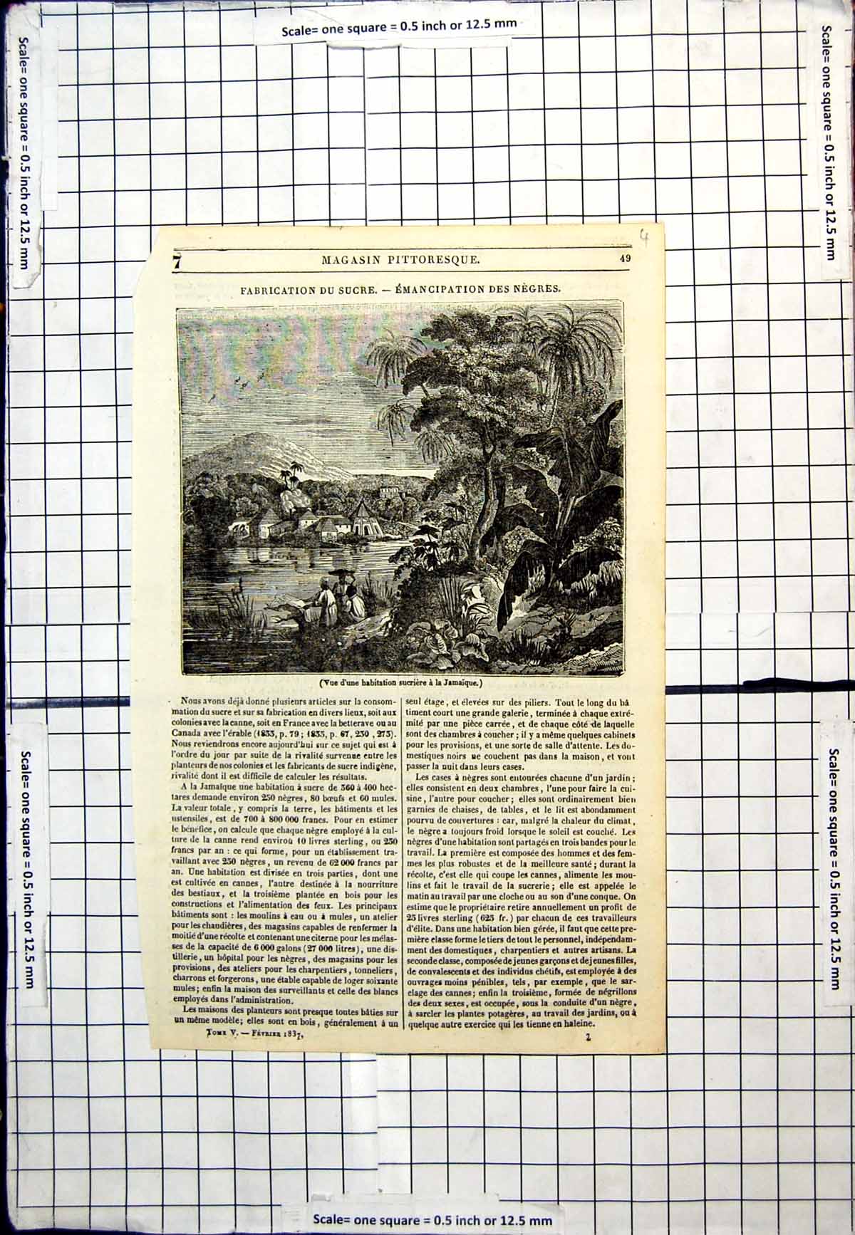 Antique Old Print View Sugar Habitation In Jamaica Buildings Foliage People