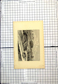 Antique Old Print Los Molinos Man Cart Buildings Waterside Palm Trees Track