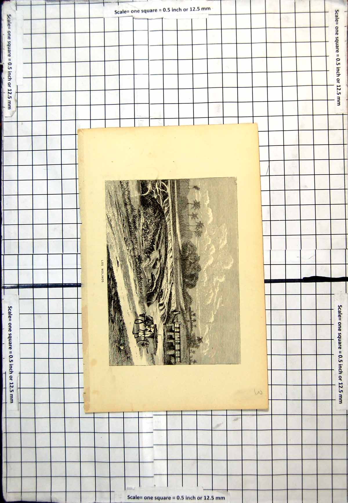 Antique Old Print Los Molinos Man Cart Buildings Waterside Palm Trees Track