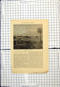 Antique Old Print The Pitch Lake Trinidad Palm Tree People Horseback Walking