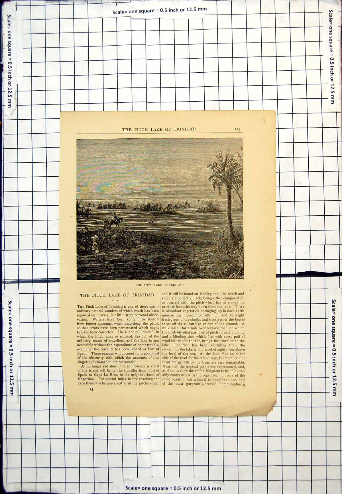 Antique Old Print The Pitch Lake Trinidad Palm Tree People Horseback Walking