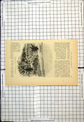 Antique Old Print Port Morant Jamaica Palm Trees Buildings View To Distance