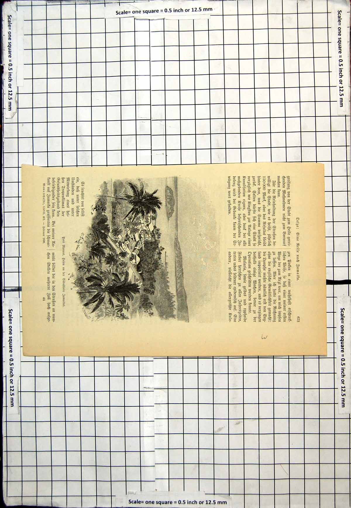 Antique Old Print Port Morant Jamaica Palm Trees Buildings View To Distance