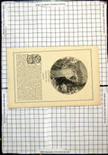 Original Old Antique Print Falls The Aar At Handek Switzerland Boulders Bridge