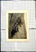Antique Print Laing'S Nek Tunnel Steam Train Carrying Men Photo Np Edwards