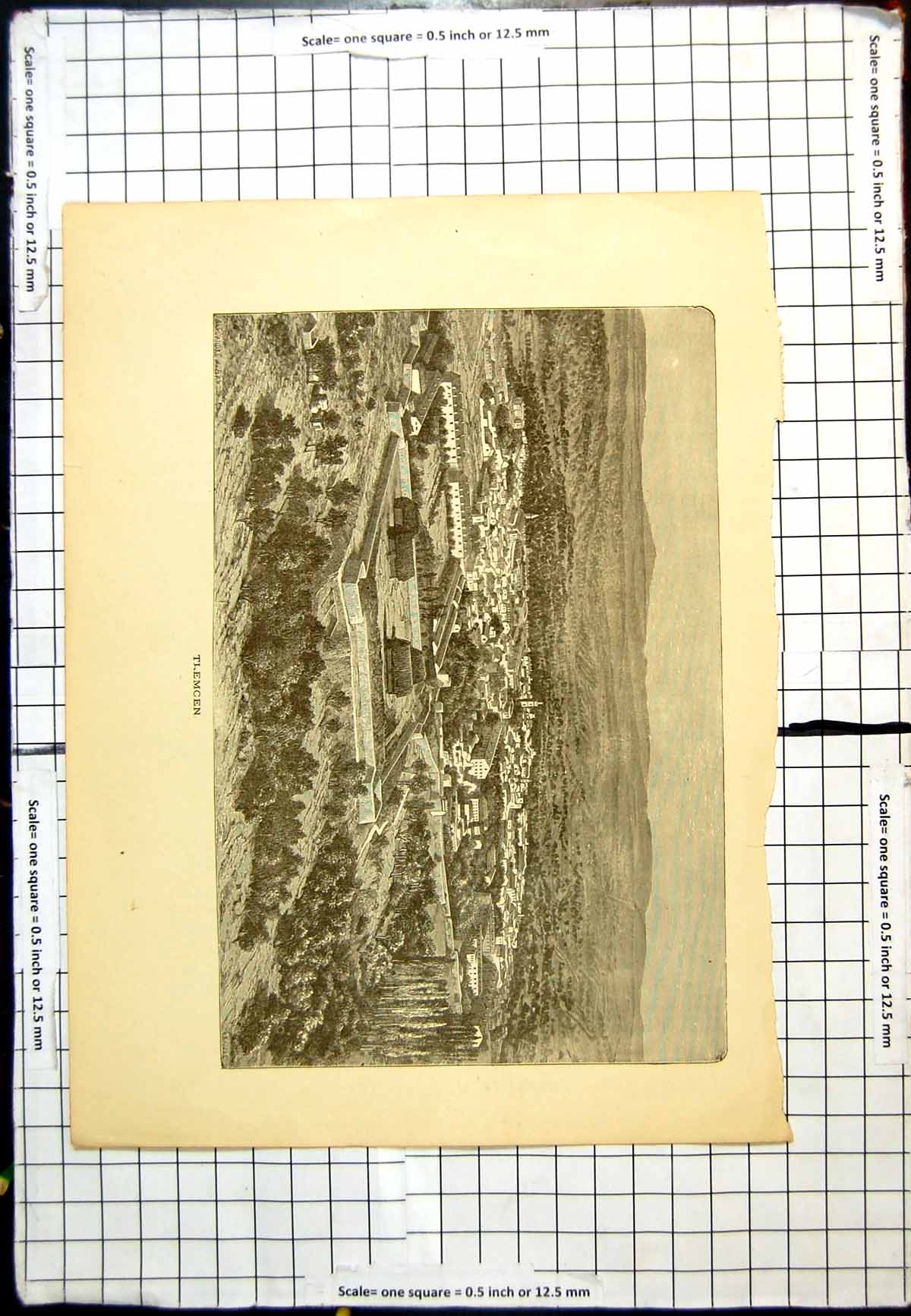 Antique Old Print Tlemcen View Settlement Buildings Trees Surrounding Country