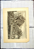 Antique Old Print Sultan Bagirmi Entering His Capital Mas-Ena Camel Horses