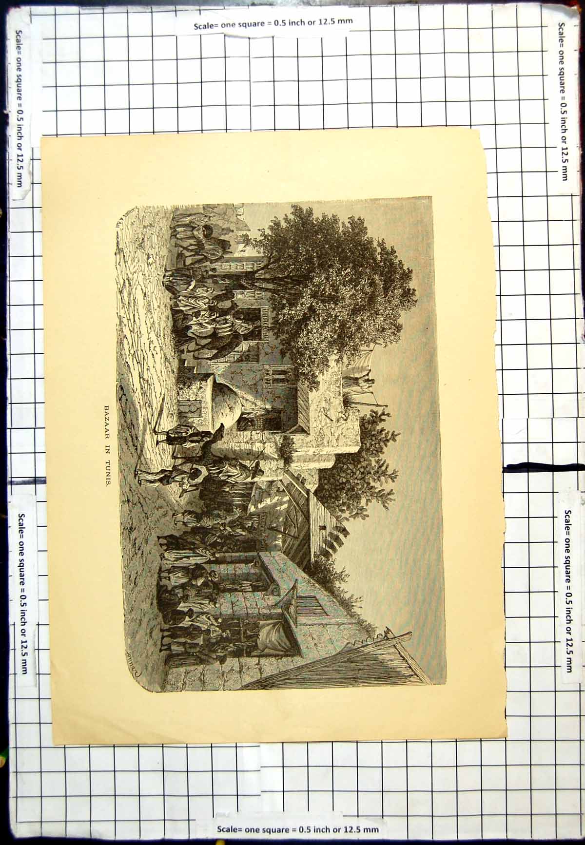 Antique Old Print Bazaar In Tunis Curtained Shop Fronts Camels Street Scene
