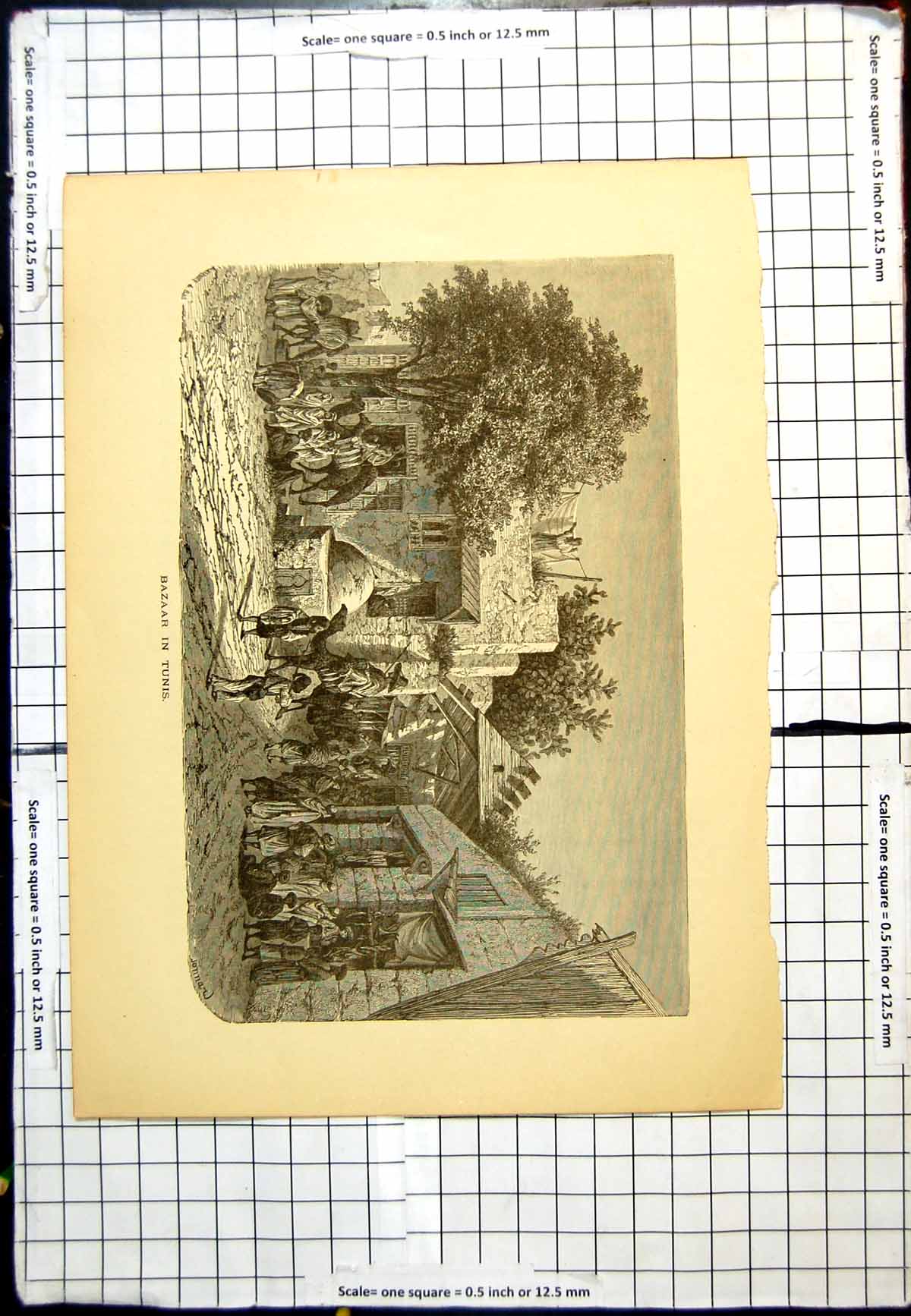 Antique Old Print Bazaar In Tunis Curtained Shop Fronts Camels Street People