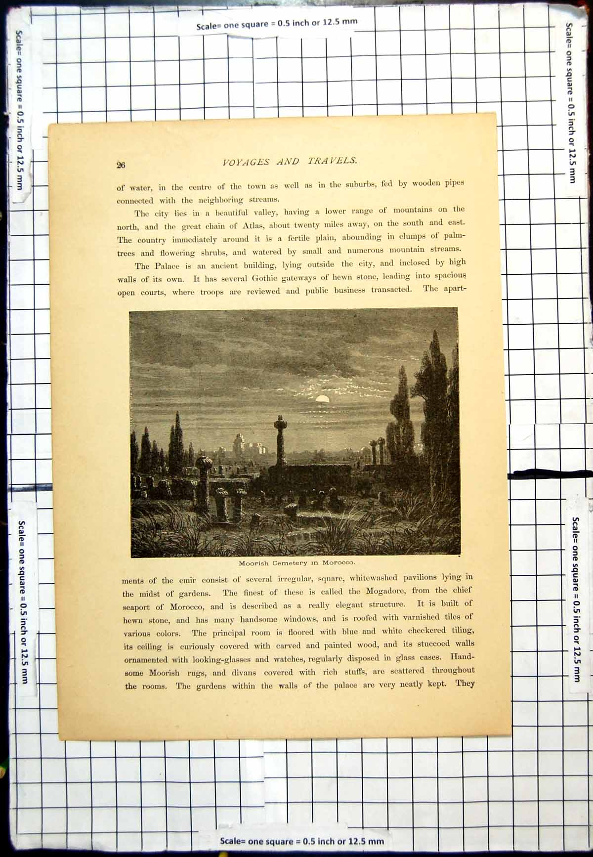 Antique Old Print Moorish Cemetery Morocco Moonlight Night Time Trees Shadows