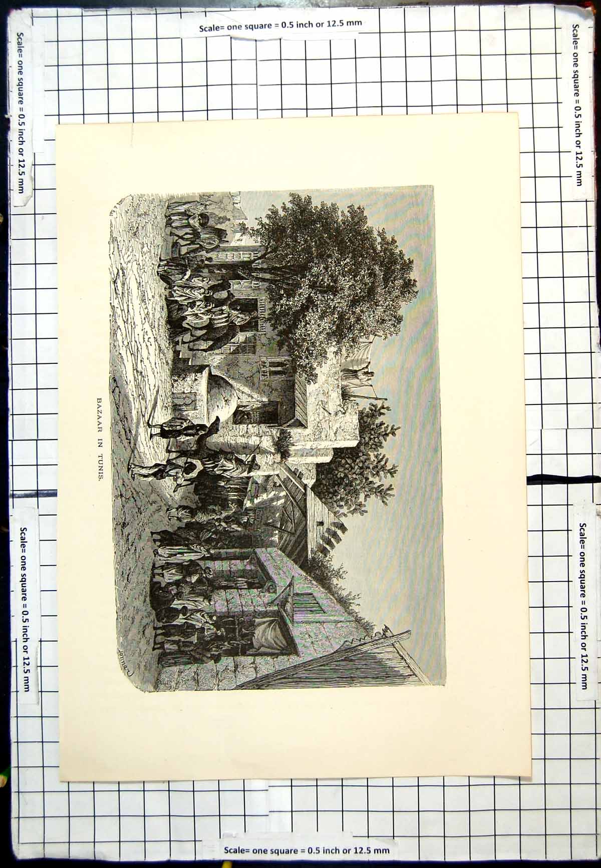 Old Antique Print Tunis Bazaar Curtained Shop Fronts Camels Street People