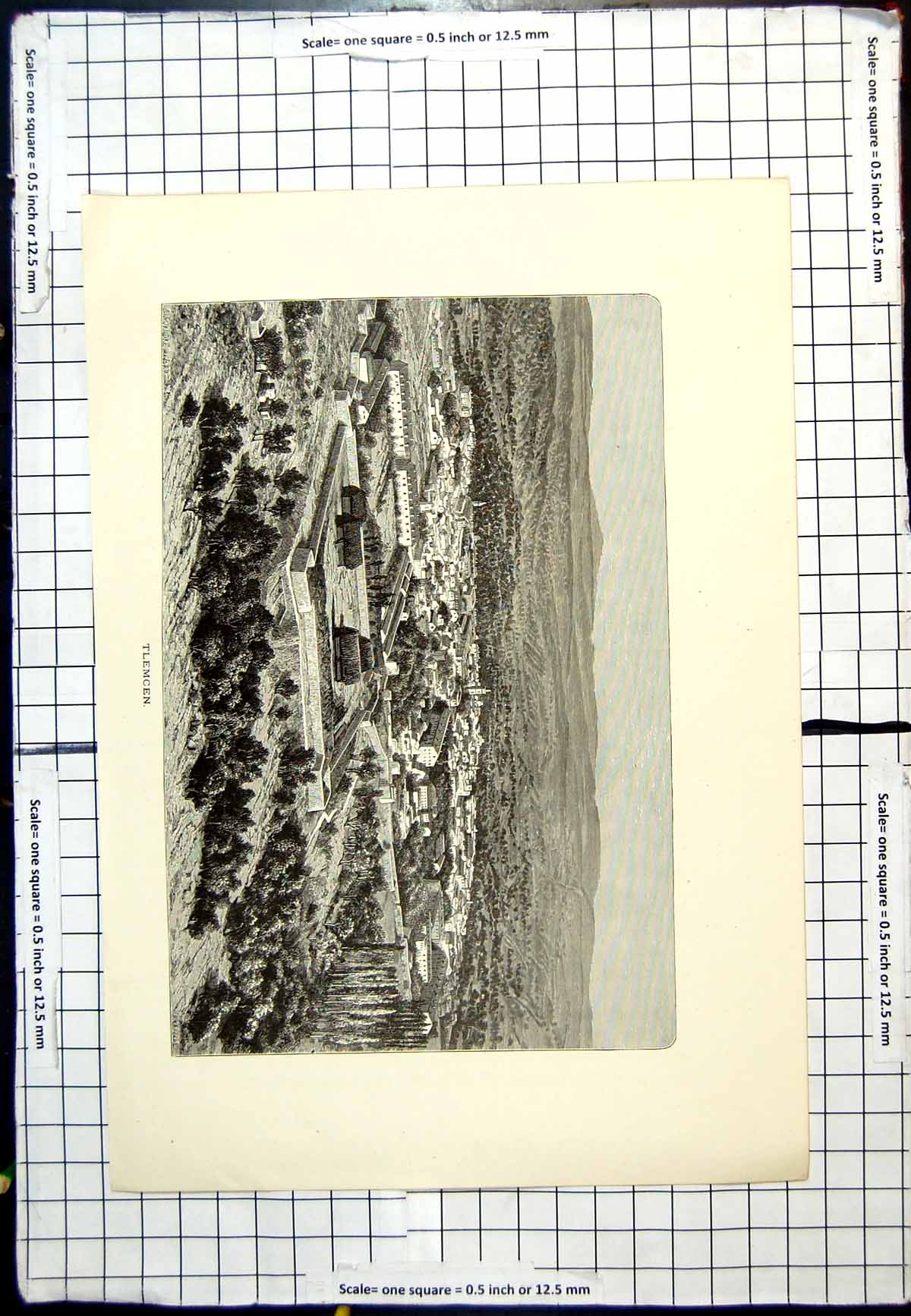 Original Old Antique Print Tlemcen View Settlement Buildings Trees Surroundings