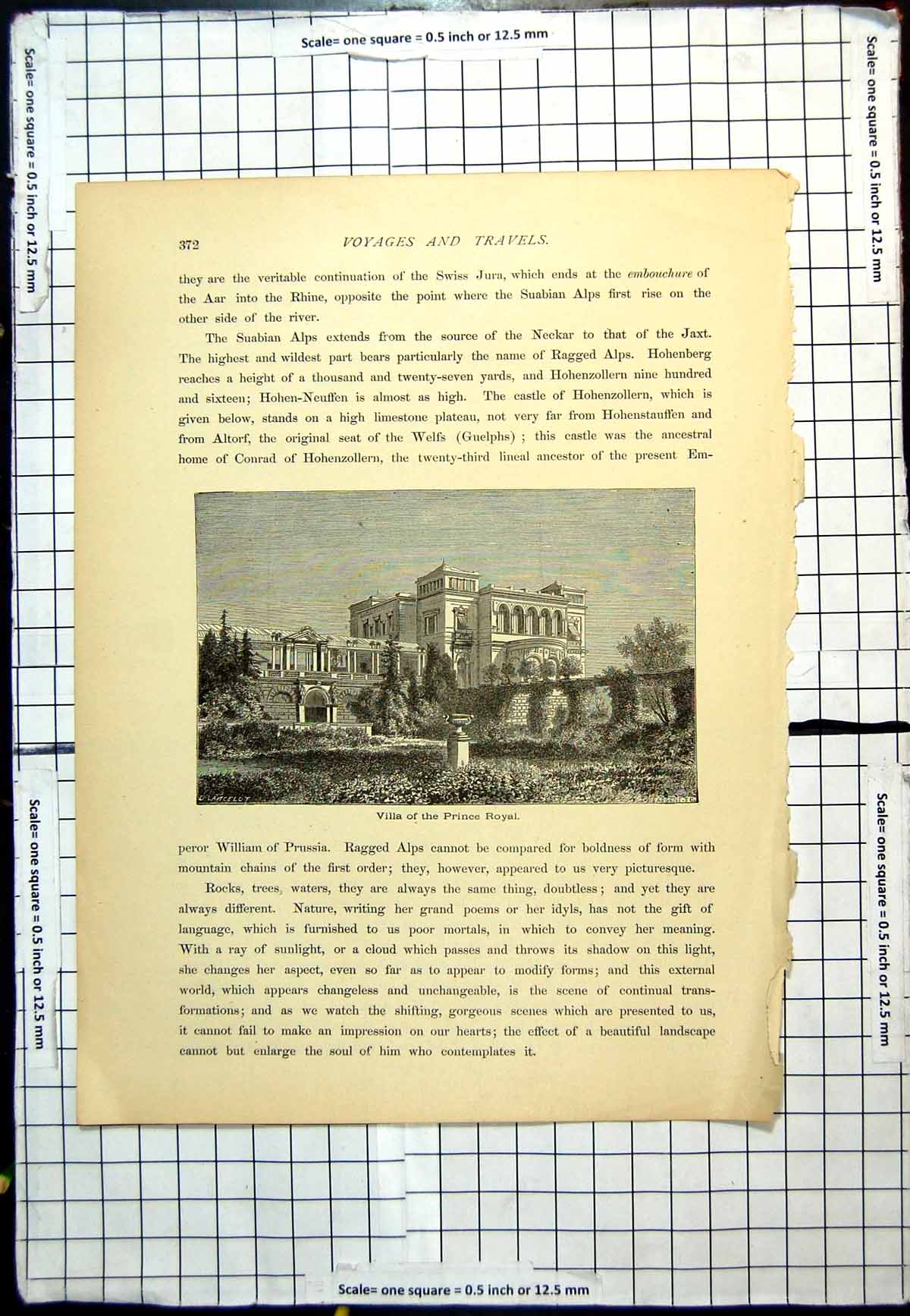 Original Old Antique Print Villa The Prince Royal Garden View Urn Trees