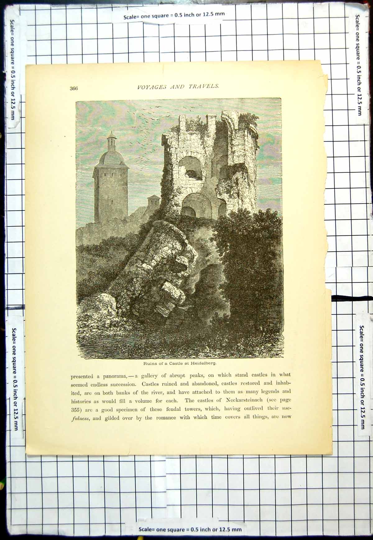 Old Antique Print Ruins A Castle At Heidelberg Bushes Modern Bell Tower