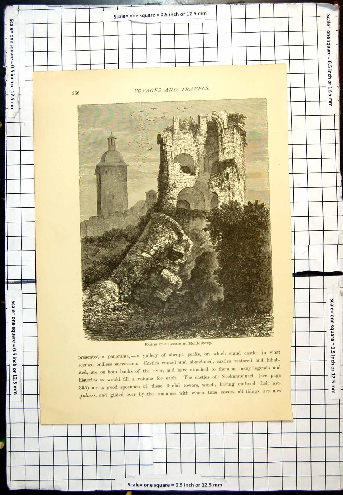 Original Old Antique Print Ruins Castle At Heidelberg Bushes Modern Bell Tower