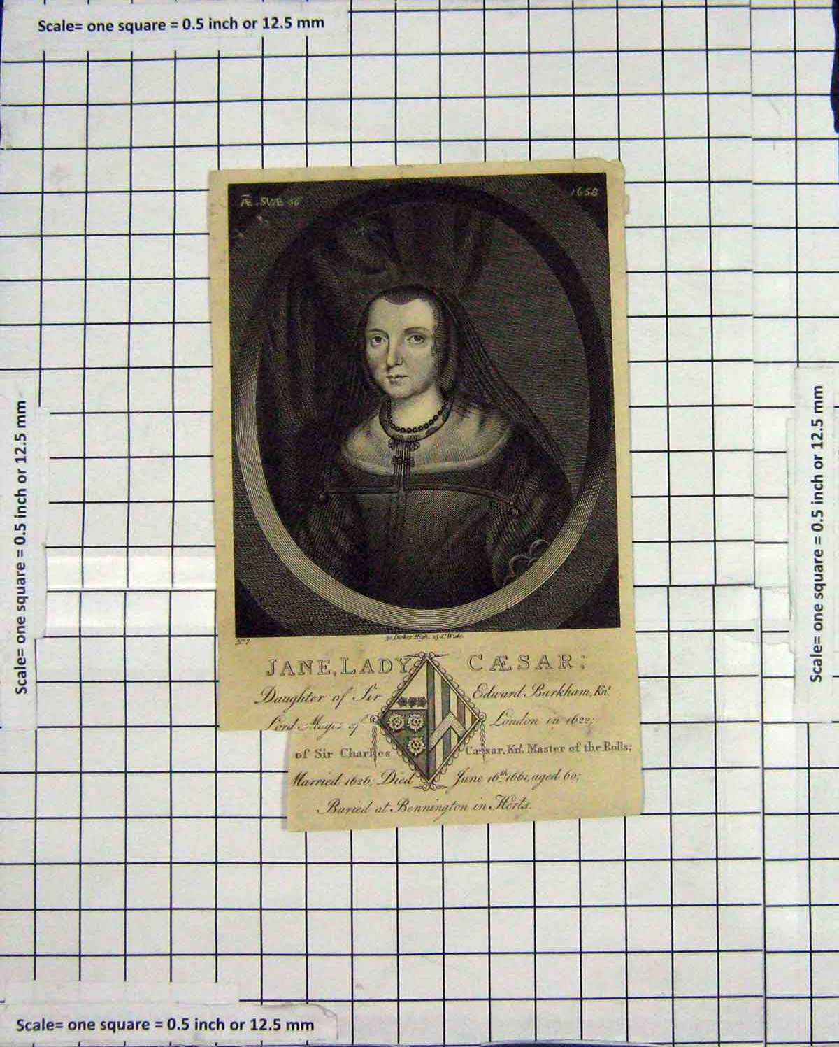 Original Old Antique Print Portrait Lady Jane Caesar Daughter Barkham