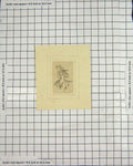 Original Old Antique Print Portrait Drawing Beautiful Lady Woman Hat