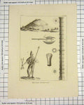 Original Old Antique Print Engraving Military Antiquities War Weapons