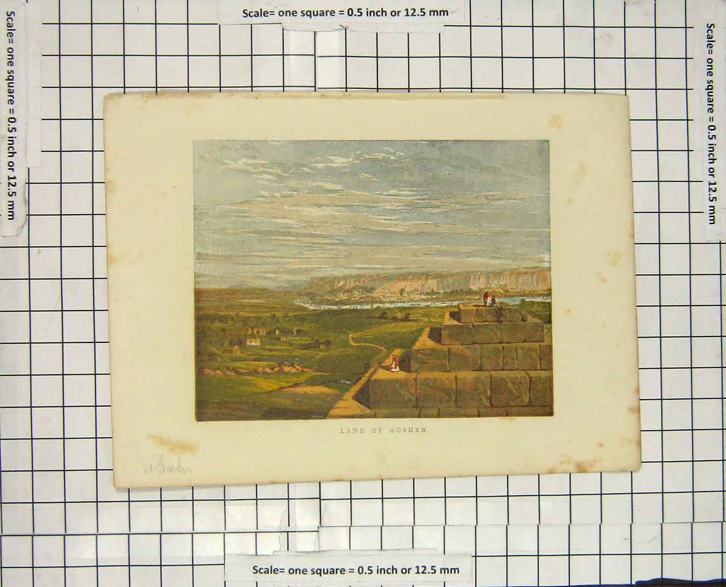 Original Old Antique Print Colour View Land Goshen Middle East
