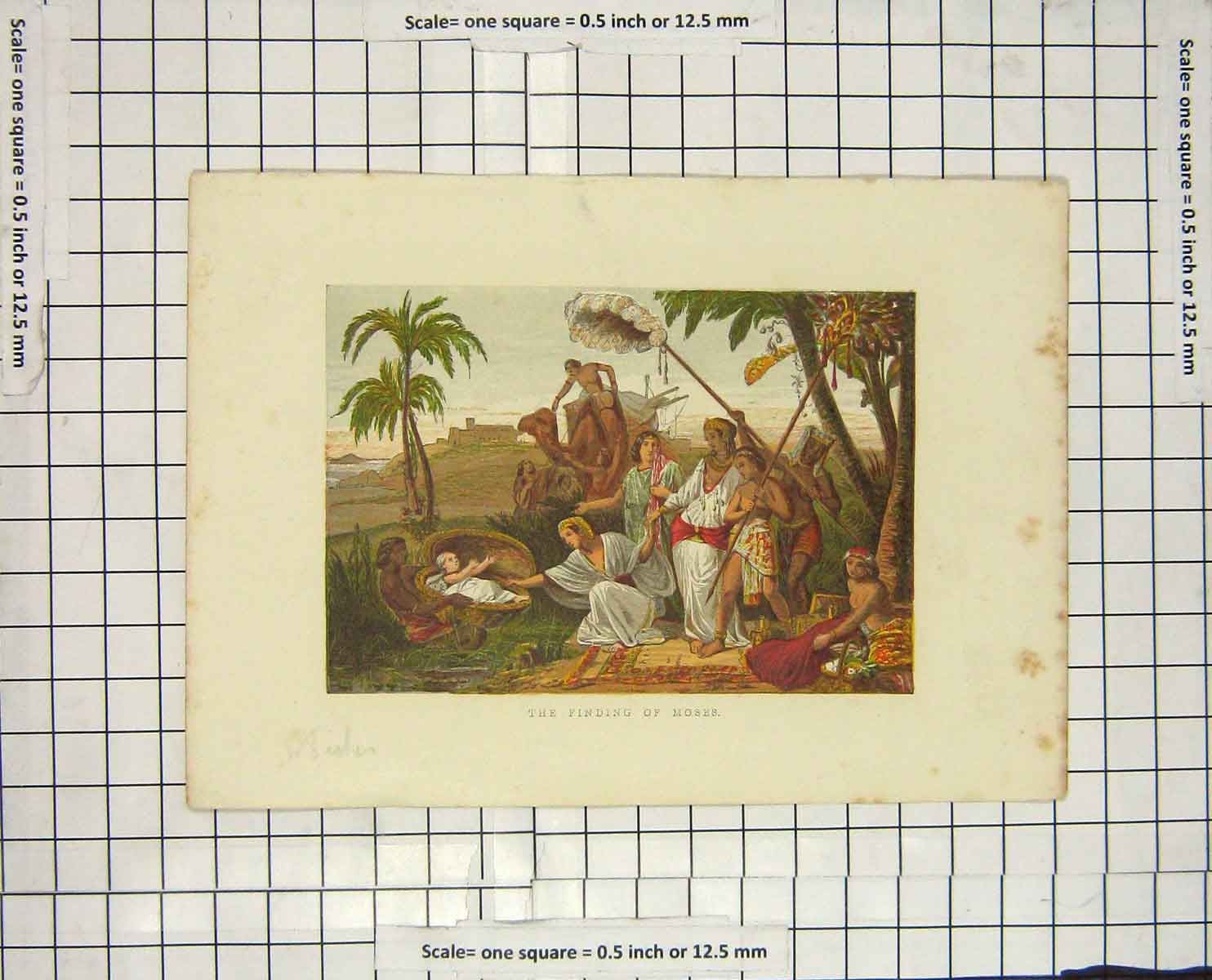 Original Old Antique Print Ref.67 Colour Scene Finding Ba Moses Basket