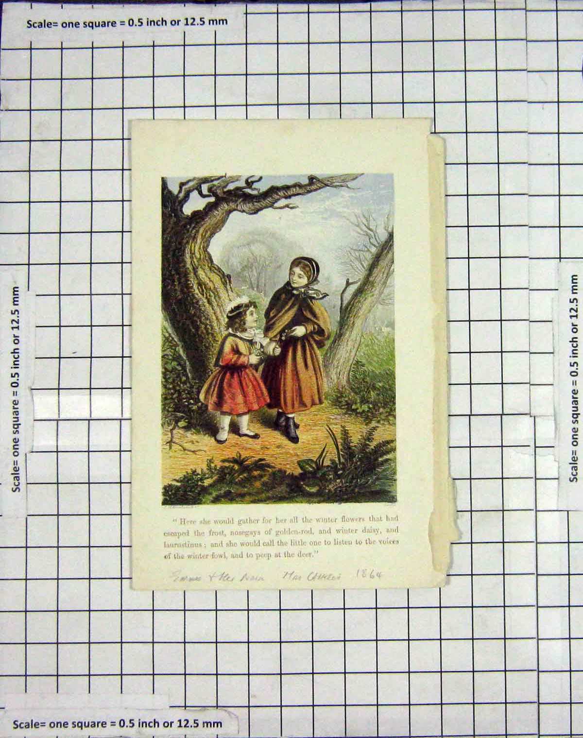 Original Old Antique Print Colour 1864 Children Little Girls Trees Victorian