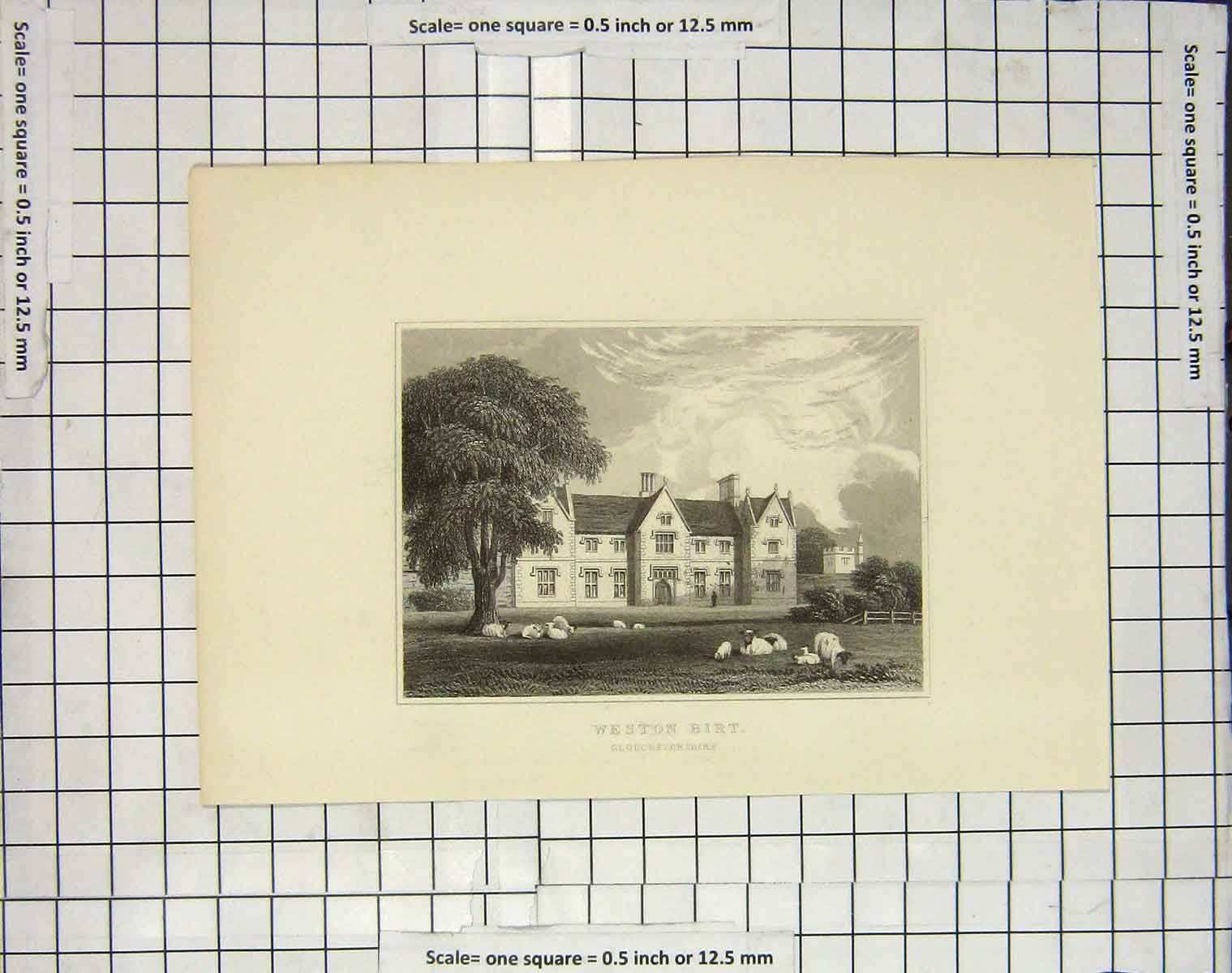 Original Old Antique Print View Weston Birt Gloucestershire England 20th