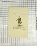 Original Old Antique Print Barry Harry Wildair Othello Theatre