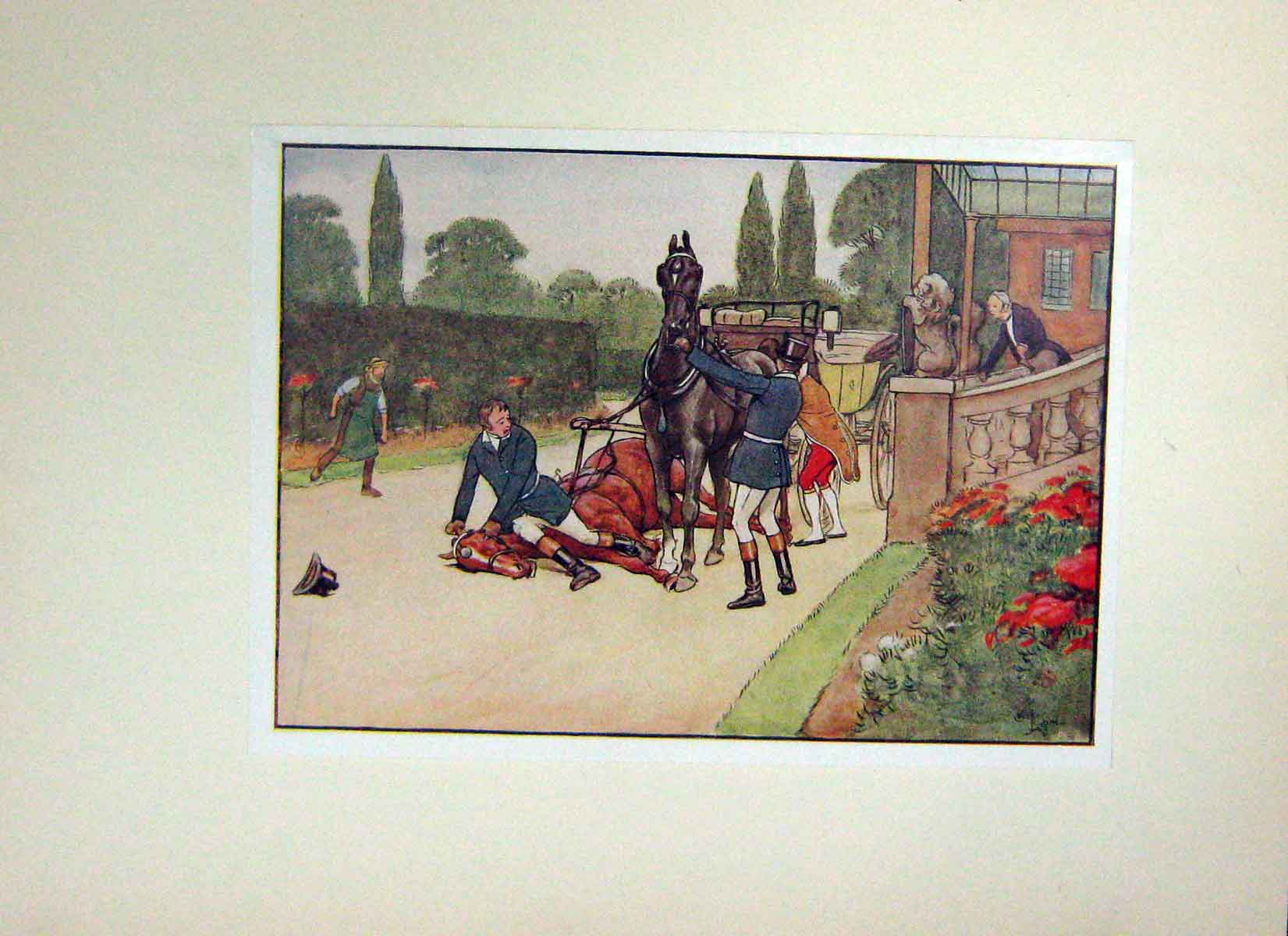 Old Antique Print Black Beauty Horse Anna Sewell Injured Carriage Colour