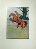 Original Old Antique Print Black Beauty Horse Anna Sewell Jockey Ginger Colour