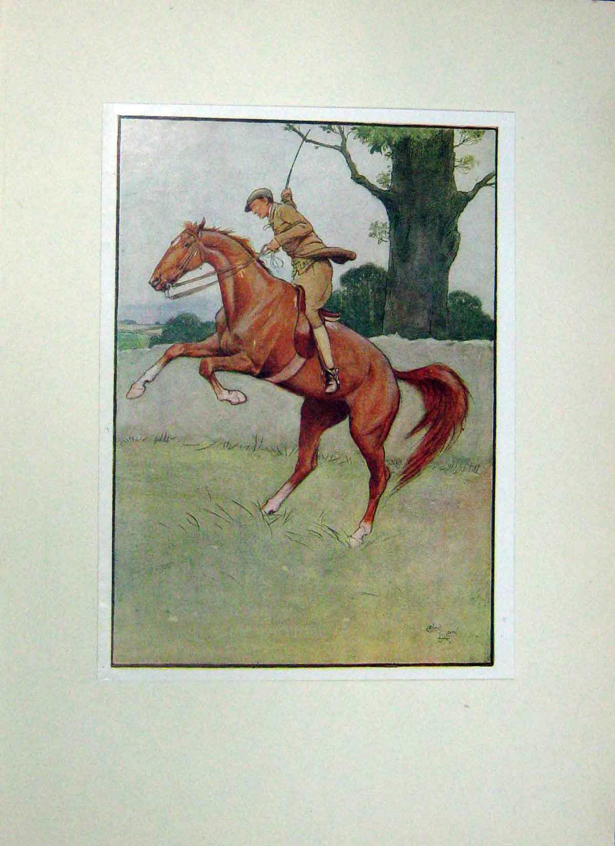 Original Old Antique Print Black Beauty Horse Anna Sewell Jockey Ginger Colour