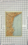 Original Old Antique Print Map Italy Savona Genova Mare Ligure Sestri